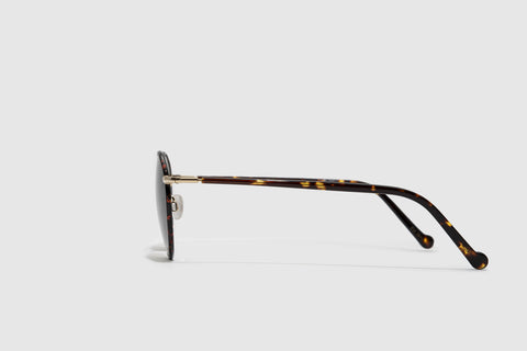 Moscot Zev Tortoise/Gold