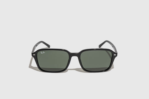 Ray-Ban RB2231 Raimond 901/31