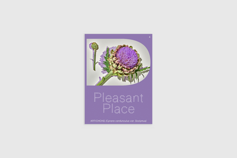Pleasant Place 4: Artichoke (Cynara cardunculus var. Scolymus)