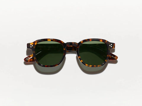 Moscot Momza Sun Tortoise
