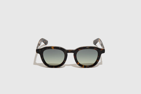 Moscot Dahven Sun Polychrome Tortoise