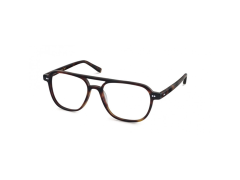 Moscot Bjorn Tortoise