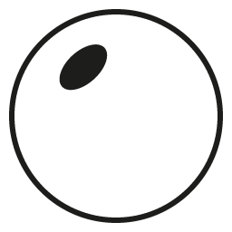 BOD 1.6
